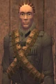 OretSturm.jpg