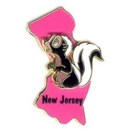 New Jersey Pin