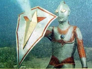 Ultra shield