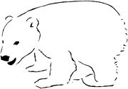 Polar-bear blank