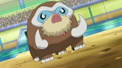EP753 Mamoswine de Dawn en la copa junior