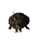 DFRat