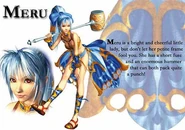 Meru-Info