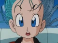 Bulma talking to goku about where there going