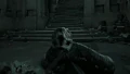 Nagini's Death.gif