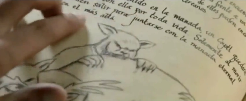 203 Promo Grimm Diaries Coyotl.png (22 KB) 203 Promo Grimm Diaries Coyotl