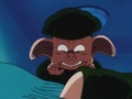 Oolong with Bulma