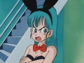 Bulmabunny2