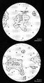 Lan Barell map.jpg