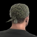 59b0a0ba9bced560 l 2