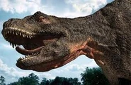 TREX123 (4)