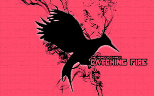 Catching-Fire-WP1-the-hunger-games-27336948-1680-1050