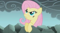 Fluttershy "How dare you..." S01E07