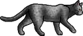 Lichenfur.loner