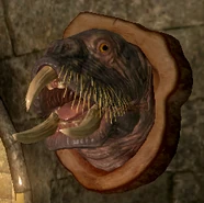 Horker Head