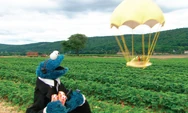 Munchinimpossible3