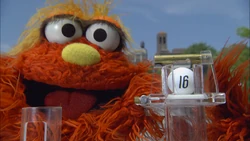 Murray-16