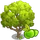 Manchineel Tree-icon
