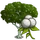 Mahogany Tree-icon