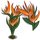 Bird of Paradise-icon