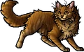 Lionblaze.apprentice