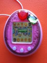 Wata