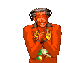 Tigre Simpering 1