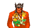 Tigre Angry 2