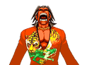 Tigre Breakdown 1
