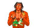 Tigre Compliant 2