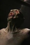 Supernatural's Wendigo