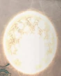Luxollid FFXII