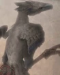 Bull Chocobo FFXII