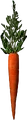 Carrot.png