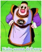 Kaio del sur