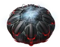 BossKucurbium