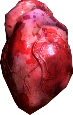 Human heart