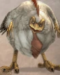 Ffxii-cluckatrice