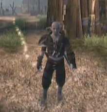 FableII Biff