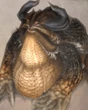 Gigantoad