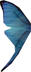 Blue butterfly wing