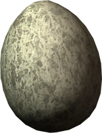 Chicken egg