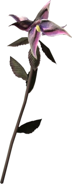 Nightshade