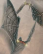Redmaw (FFXII)