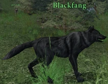 Blackfang