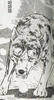 Gin gettingup