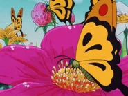 Butterflies.Ep.6.GT