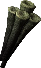 Giant lichen