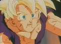 Gohan hrut b