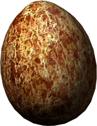 Pine thrush egg